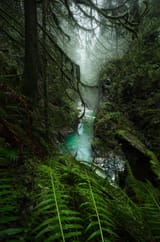 Canada British Columbia Dreamlike