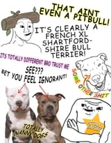 1723259086663733