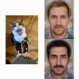 Aryan race with cat comparrison