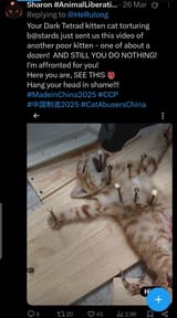 chinksects 8