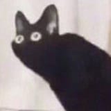 1584739659829