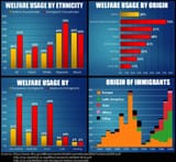 welfare by race and origian