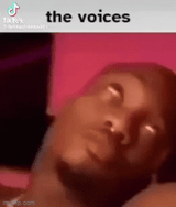 thevoices