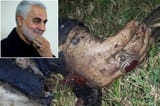 soleimani_ring_index
