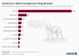 20180914_Deadly_Dogs_Forbes