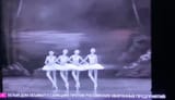 russian freedom