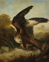 Studio of Edwin Henry Landseer (London, England, U.K. 1802-1873 ibidem) A snake in the talons of an eagle - Oil on canvas 1822