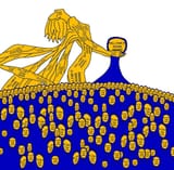 1750613009086511
