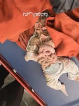 Dead Palestinian babies 3