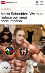 MeinSchmittles