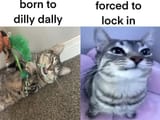 1717404879516585