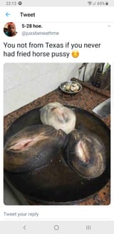 horse-pussy