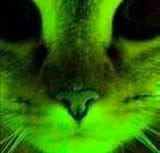 glowiecat