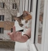 fucky_off