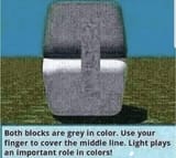 color found