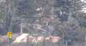 dki_VP8_thumb.jpg