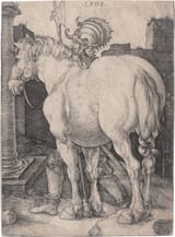 Albrecht Dürer (Free Imperial City of Nuremberg, Holy Roman Empire 1471-1528 ibidem) Das große Pferd (The Big Horse) - Kupferstich 1505-min