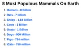 Screenshot 2025-06-22 at 02-06-45 The Most Populous Mammals in the World - WorldAtlas