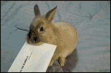 bun mail