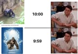 harambe
