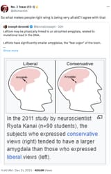 leftists_fear_amygdala