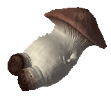 lil mushroom guy