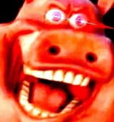 42354576