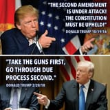 trump redflag laws guns