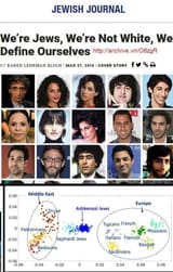 Jewish brown niggerskins