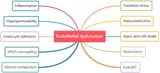 Venn diagram shows the relationship between Endothelial Dysfunction and Injury and cell death