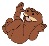 1584326304239