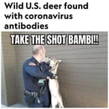 1629859462981m