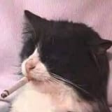 14783784875