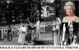 Queen Elizabeth Druid5