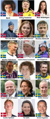 Swede mongols
