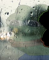 pepe reflection