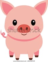 vector-cute-pig-cartoon-character-600w-2465469539
