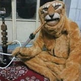 shia_lion_karbala