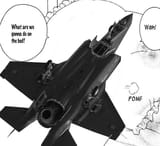 pomF-35