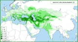 J2-Y-DNA-Haplogroup-Map-J2-M172-Map-J2-Haplogrubu-Haritasi-v3
