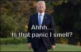 trumppanic