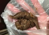 Fecal-Analysis-768x576-e1557173870328