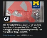 Chinese saboteurs
