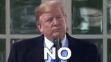 giphy (1)
