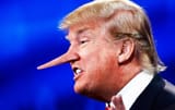 trump long nose