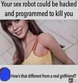 Sexbots