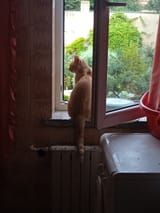 IMG_20210807_075754_1