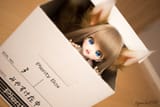 fox doll bd549d5e8995a741ec64355cdc872dd3