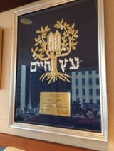 trumpJews
