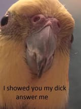 6PcGtZB